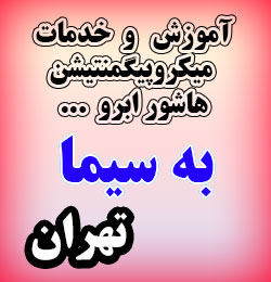آموزشگاه میکروپیگمنتیشن
