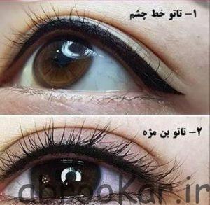 تاتو بدن منطقه 1 تهران