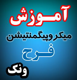 آموزش میکروپیگمنتیشن فرح